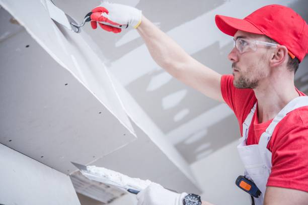 Best Drywall Removal and Disposal  in Henryville, IN